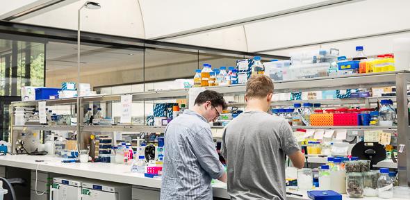 Technician Commitment: Building Reliability and Excellence in Service