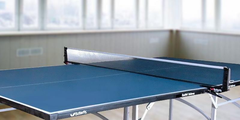Table Tennis Table