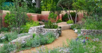 Chelsea Flower Show 2025