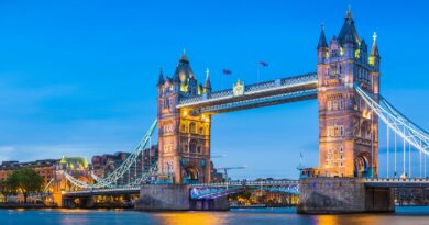 Things to Do Near Me