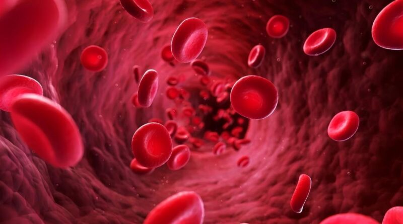 Why Is Thermal Analysis Used in Drug Studies?