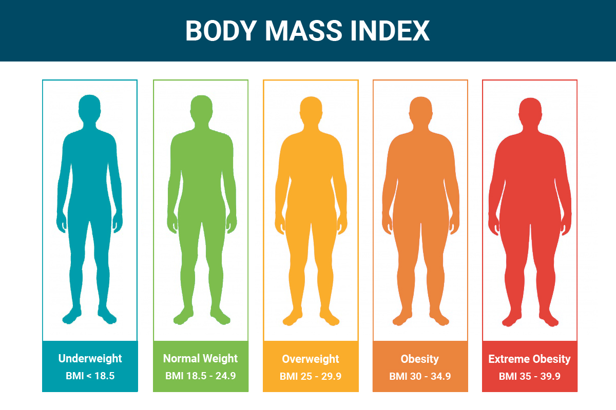 Calculate Your Body Mass Index (BMI) – Free UK BMI Calculator & Complete Guide