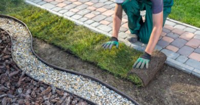 Low Maintenance Front Yard Landscaping