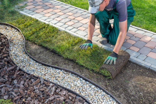 Low Maintenance Front Yard Landscaping Ideas That Save Time and Water (Simple UK Guide for Effortless Curb Appeal)