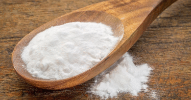 is bicarbonate of soda the same as baking soda