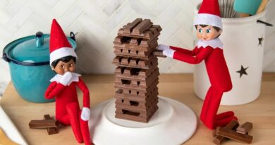 Elf on the Shelf Ideas