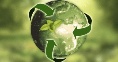 Circular Economy