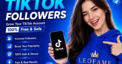 LeoFame TikTok Followers